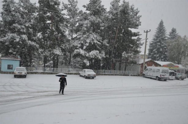Balkanlar'dan geldi