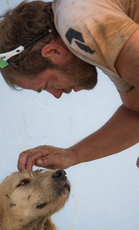 Bir köpeğin inanılmaz hikayesi