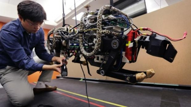 Robot Çita