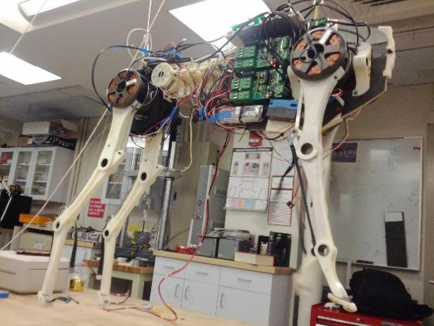 Robot Çita