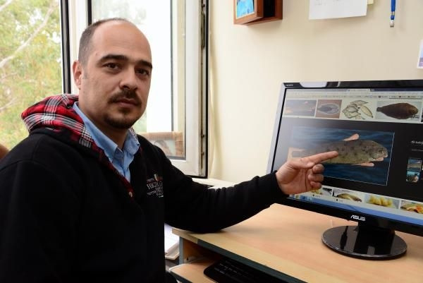 Türk bilimadamları yeni bir parazit türü buldu