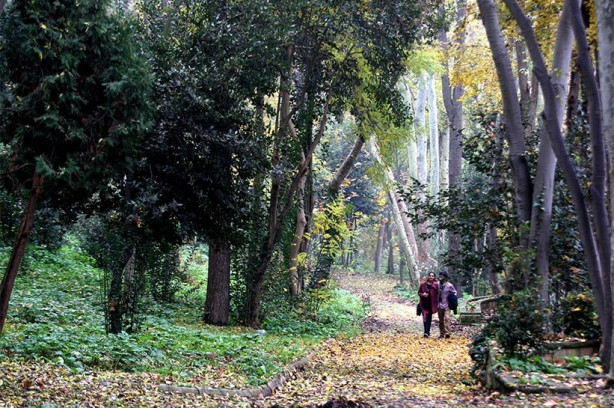 Yıldız Parkı, pazar gezmesi için iyi bir alternatif