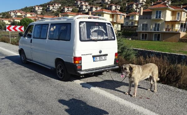 İnsanlıktan utandıran görüntüler!