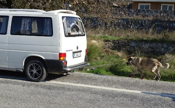 İnsanlıktan utandıran görüntüler!