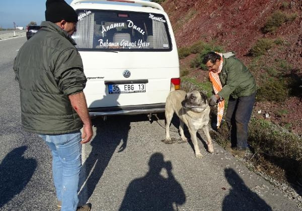 İnsanlıktan utandıran görüntüler!