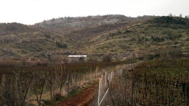 PKK'ya dev darbe