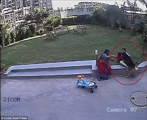 Köpek bir anda çocuğa saldırdı