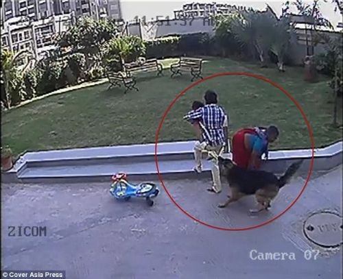 Köpek bir anda çocuğa saldırdı