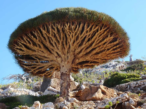 Yeryüzünün gizemli adası
