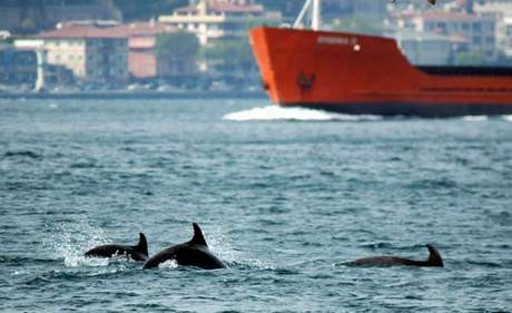 İstanbul Boğazının çetesi