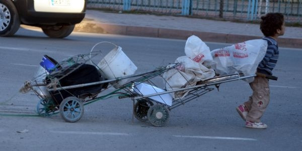 Yükleri boylarından büyük