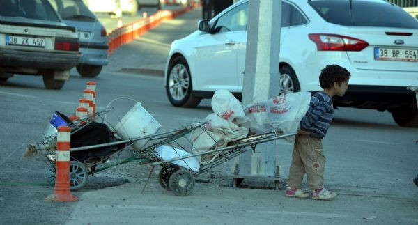 Yükleri boylarından büyük