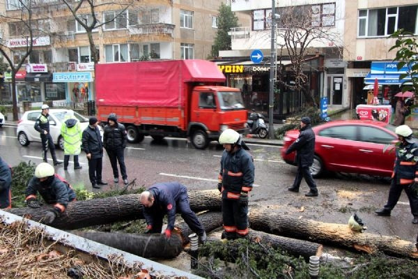 Fırtına, Bağdat Caddesi'nde bir ağacı devirdi