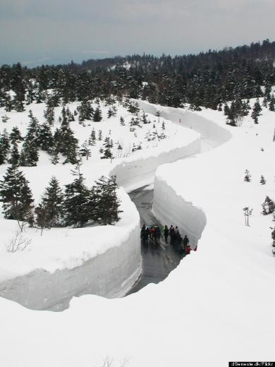 İzmir'den Kanada'ya giden adamın dramı