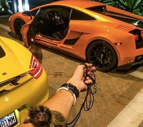 Instagram'ın 'çakma' zenginleri