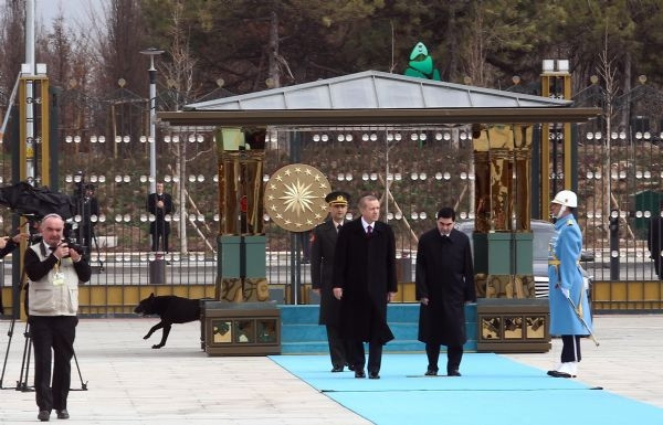 Saray'daki karşılamada köpek paniği