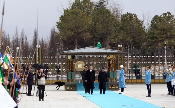 Saray'daki karşılamada köpek paniği