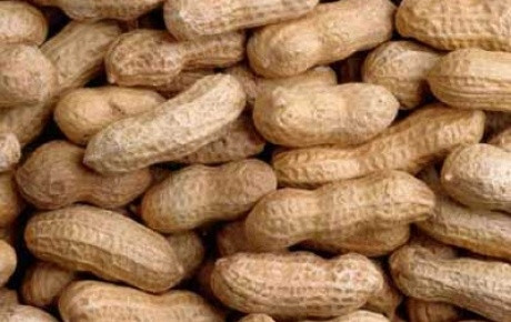 Yerfıstığı erken ölüm riskine çare olabilir