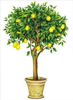 Limonun faydaları
