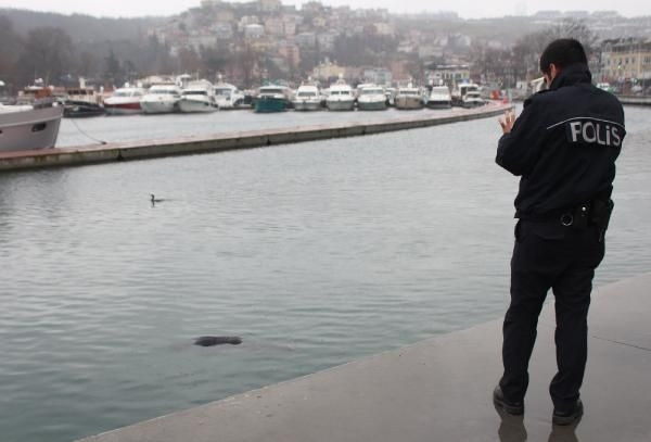 Sarıyer'de denizden kadın cesedi çıktı