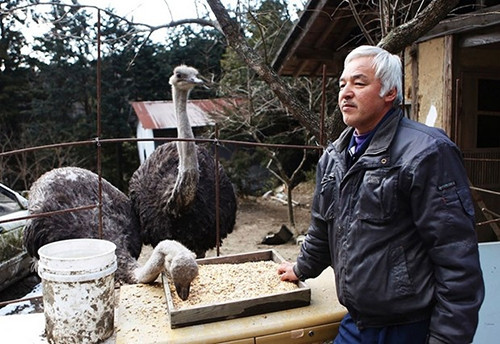 Japonların iyilik meleği Fukuşima'ya geri döndü