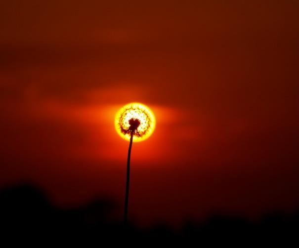 Mükemmel zamanda çekilen o fotoğraflar