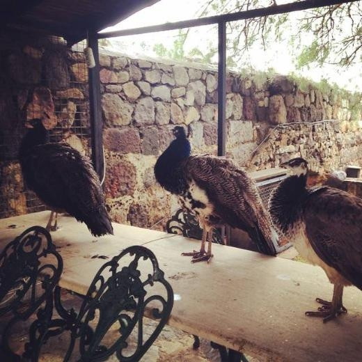 Instagram'da ünlüler