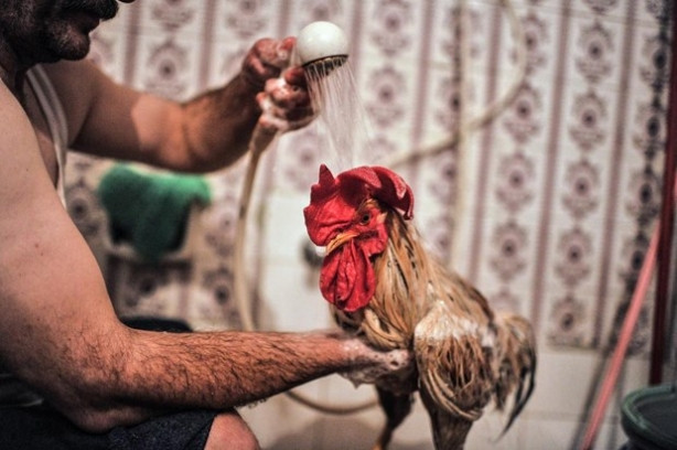 "Bu Behlül başka Behlül"