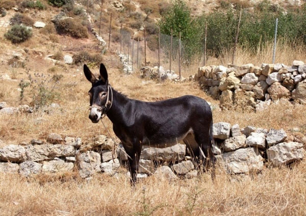 En ilginç cinsel yasaklar..