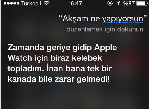 Türklerin Siri ile imtihanı