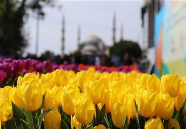 İstanbul'a dünyanın en büyük lale halısı