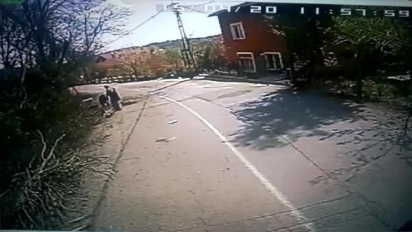 Halk otobüsünün 2 kadını ezdiği kaza kamerada