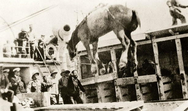 İngilizlerin gözüyle Çanakkale