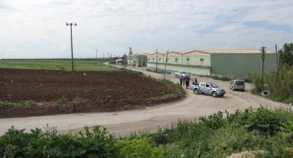 Kuş gribi karantinası