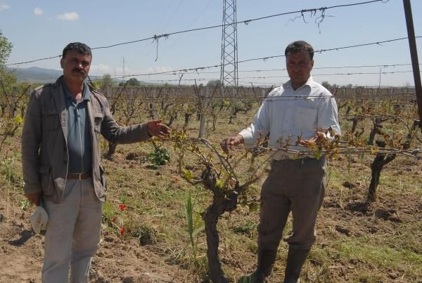 Manisa'da hiç yaşanmayan oldu