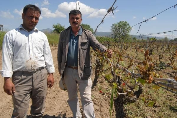 Manisa'da hiç yaşanmayan oldu