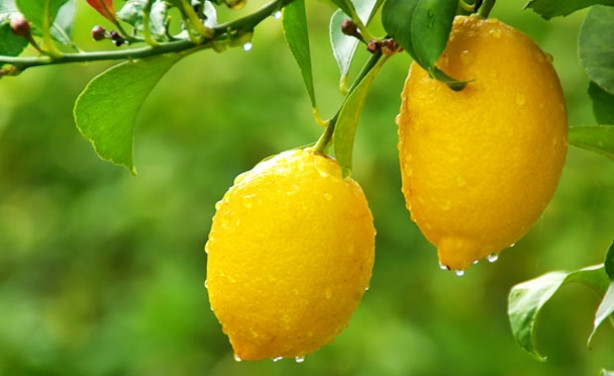 Limon kabuğunun bilinmeyen faydaları