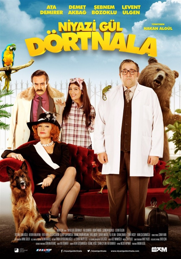 Niyazi Gül Dörtnala koşamadı!