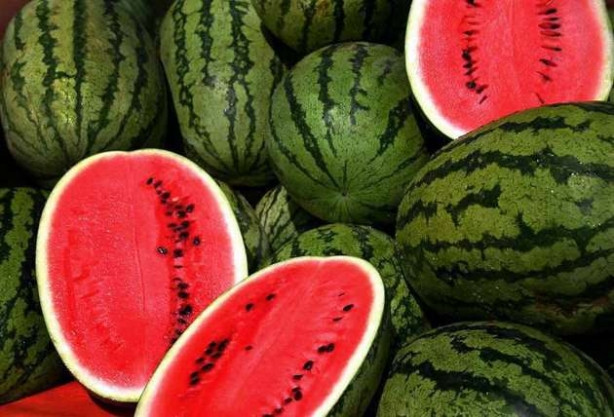 Zengin su kaynağı karpuzun faydaları