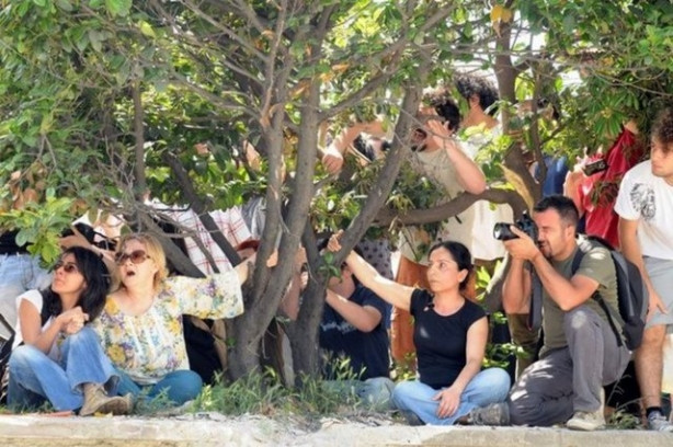 Gezi Parkı olayları neden ve nasıl başladı, neler yaşandı?