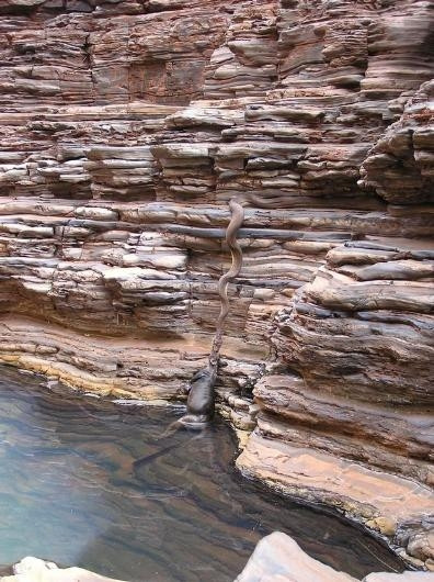 Avustralya'nın sıradışı özellikleri