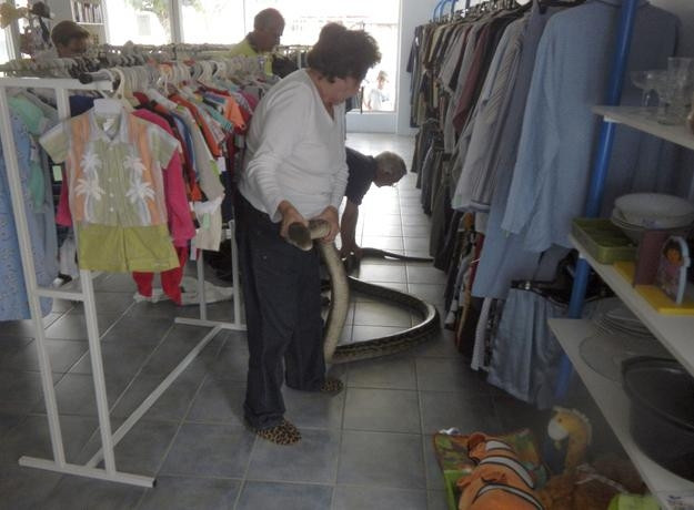 Avustralya'nın sıradışı özellikleri