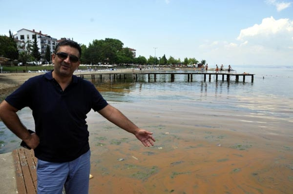 Mavi bayraklı plaj kızardı, kimse denize giremedi