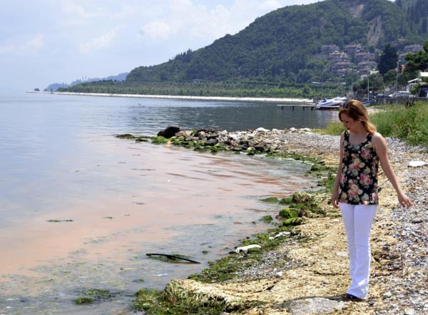 Mavi bayraklı plaj kızardı, kimse denize giremedi