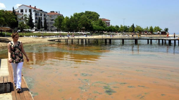Mavi bayraklı plaj kızardı, kimse denize giremedi