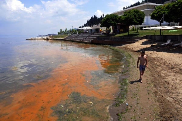 Mavi bayraklı plaj kızardı, kimse denize giremedi