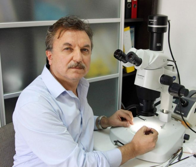 Gergedan böceği ne kadar