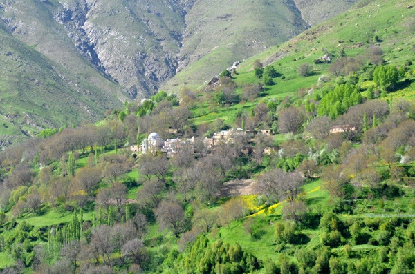 Türkiye'nin en titiz köyü