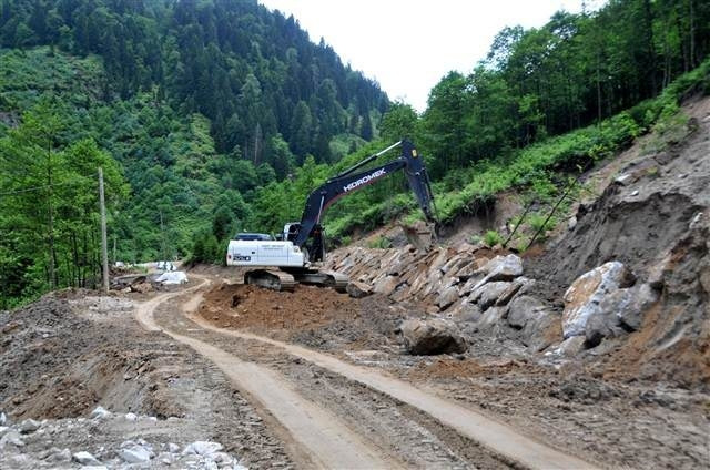 Kesilmedi denen ağaçlar görüntülendi