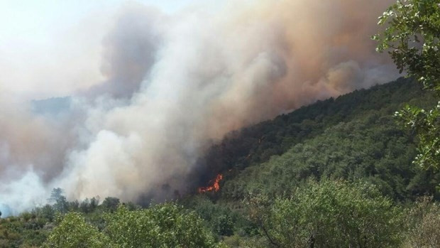 Mersin'de orman yangını